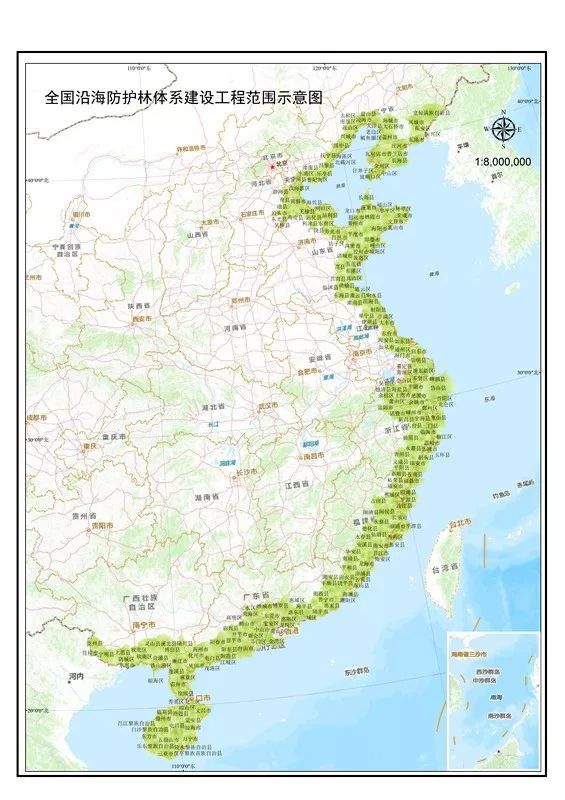 18万公里海防林守护祖国海疆抵御海洋灾害释放综合效益