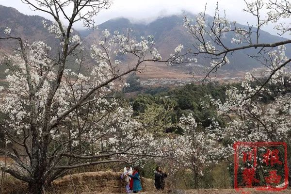 安哈鎮位於西昌市東南方,距離西昌城區30餘公里,路況良好,且沿途有