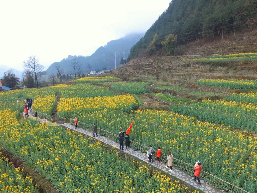 重庆市奉节县新民镇图片