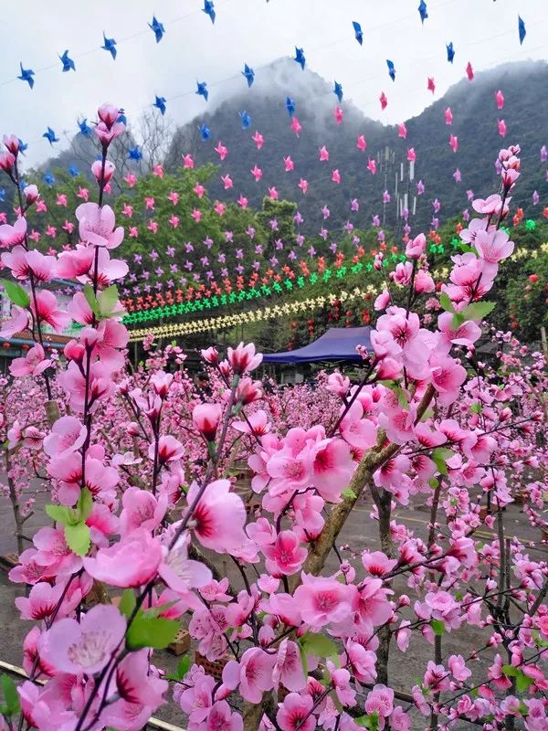 南宁龙虎山门票限时特价20元观猴祈福闯桃花阵周末约吗