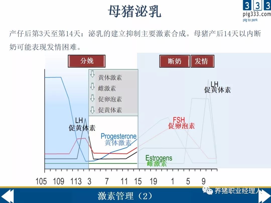 系統地學習激素知識2母豬分娩泌乳及斷奶後激素的變化