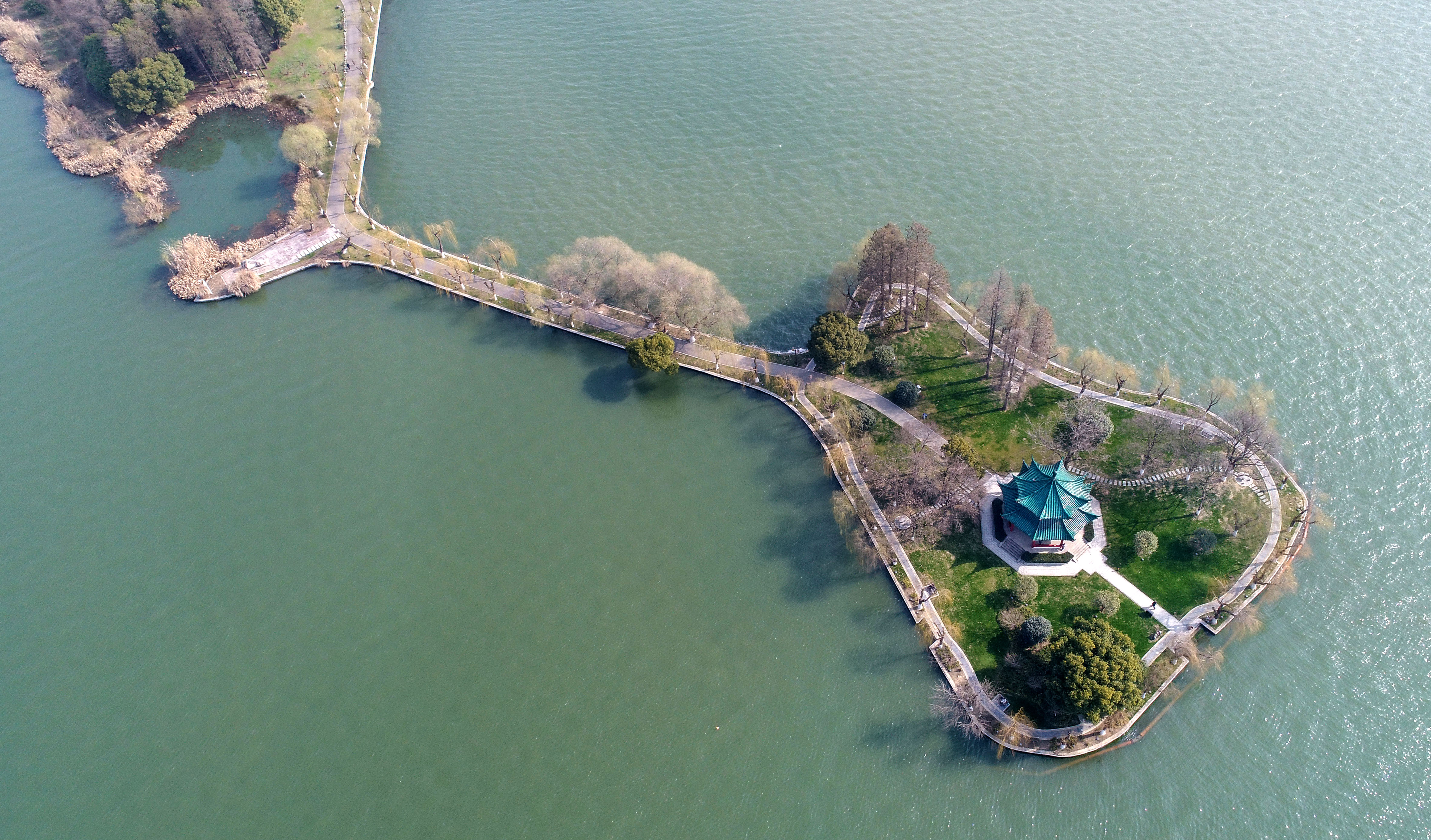 武汉东湖春天风景图片图片