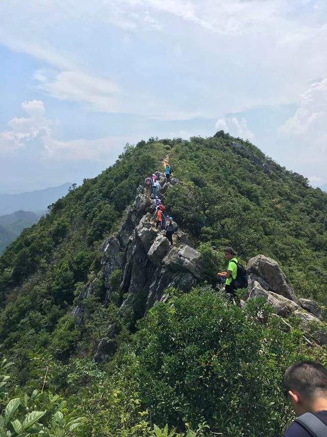 深圳春遊爬山攻略第二篇,門票免費,外出感受滿滿春意~_鳳凰山