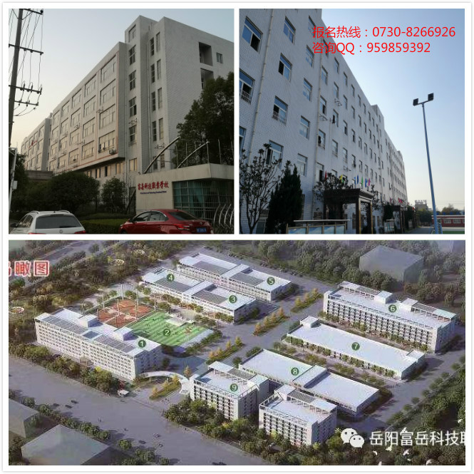 岳阳市富岳科技职业学校近年办学成果显著成就众多年入百万明星学子