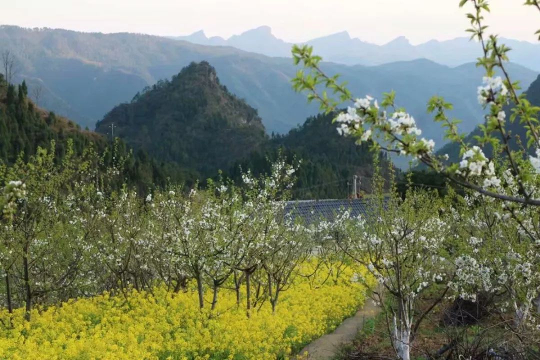 青川县白家乡图片