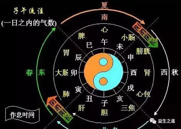 卯时养生小知识(卯时养生小知识图片)-第2张图片-鲸幼网