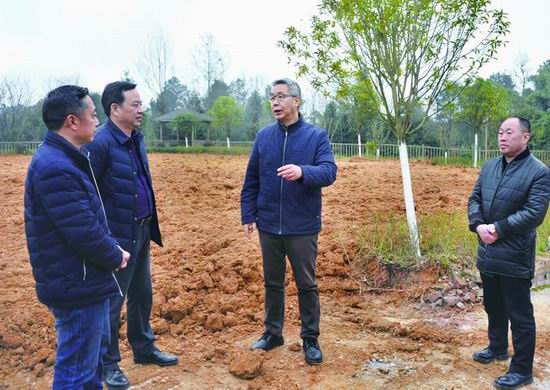 实习生 田原多 首席记者 何乾健摄3月4日,涪陵区政府区长种及灵前往马