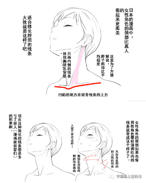 动漫人物头颈肩关系的画法，初学动漫绘画学习教程