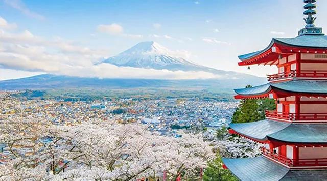 日本等一場煙花雨,邂逅世界上最浪漫的粉色.