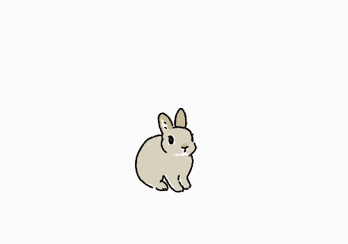 软软萌萌的小兔子安静又乖巧,一眼看过去就像小棉花一样,真的是萌炸了