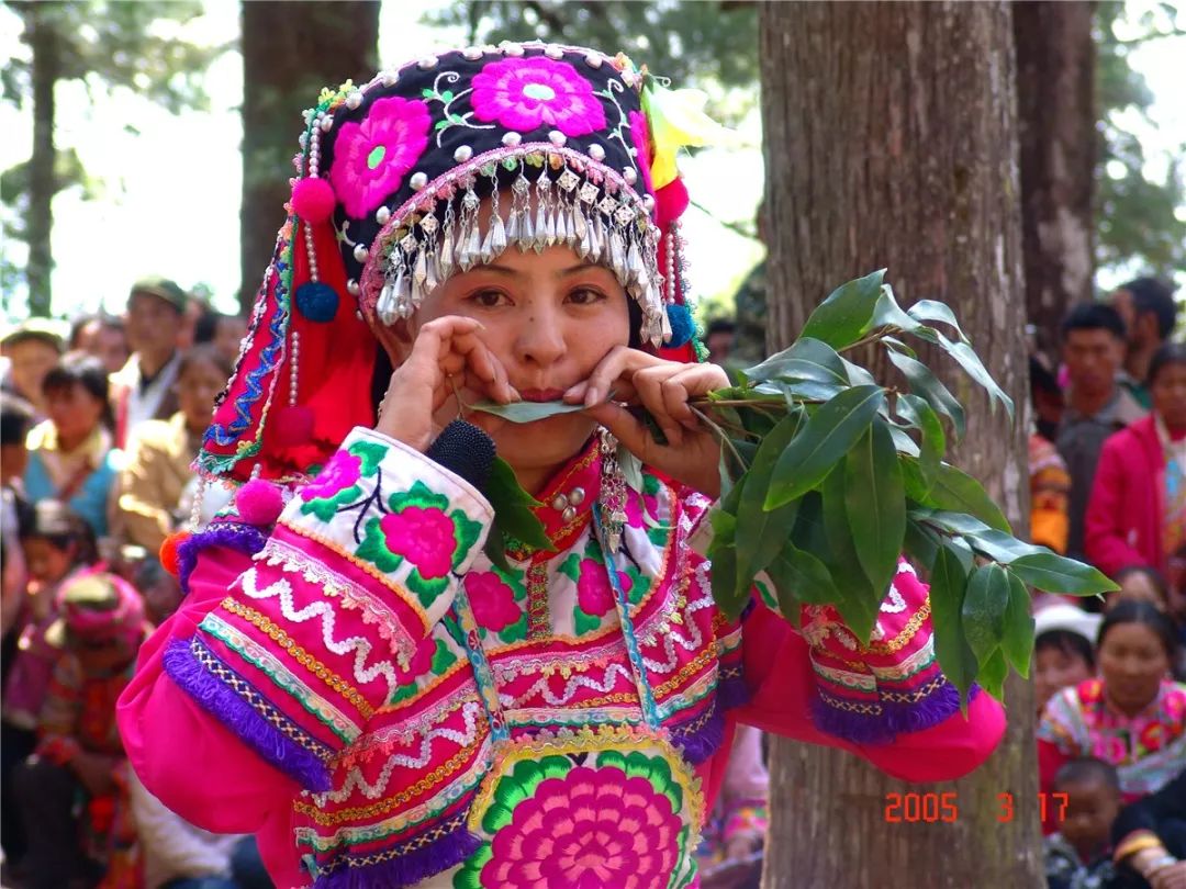 节日期间,还将举行马缨花花仙子暨彝山百灵鸟选拔赛,跳脚,山歌对唱等