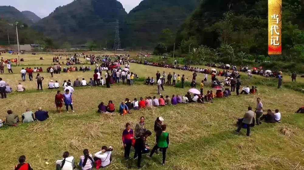 来源:央视科教频道综合编辑:田阳大小事法律顾问返回搜狐,查看更多