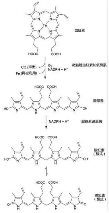 铁卟啉化合物图片