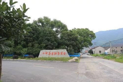 次坞镇白马新村△安华镇蔡家畈村△东白湖镇陈蔡村