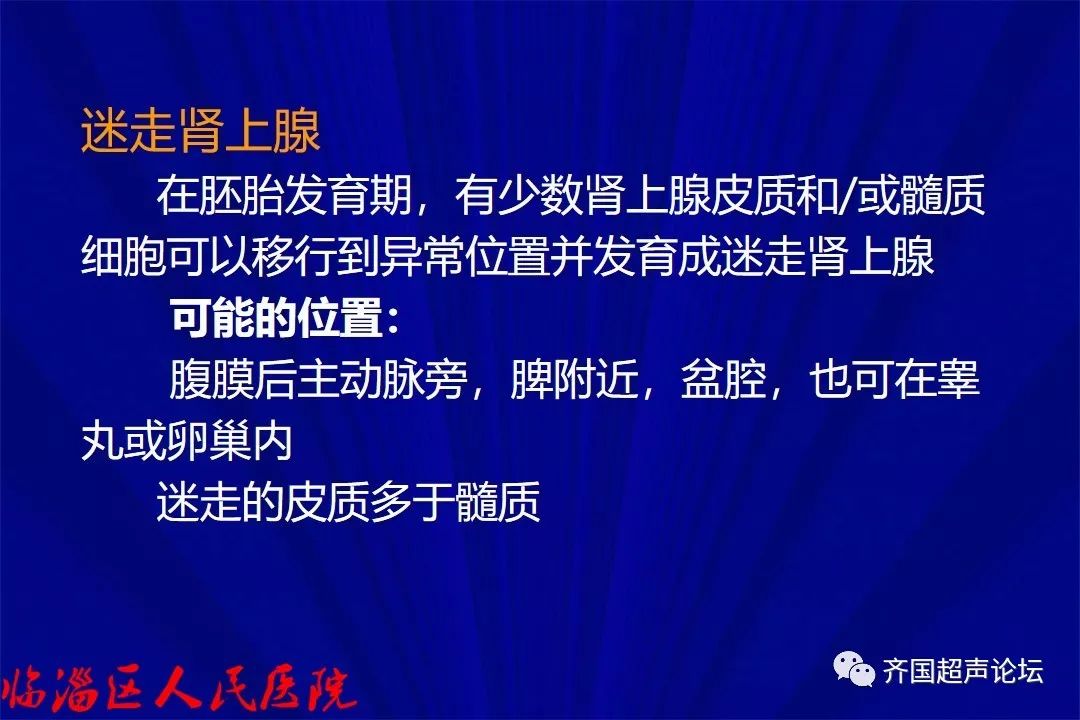 基礎腎上腺正常聲像圖及常見疾病超聲表現