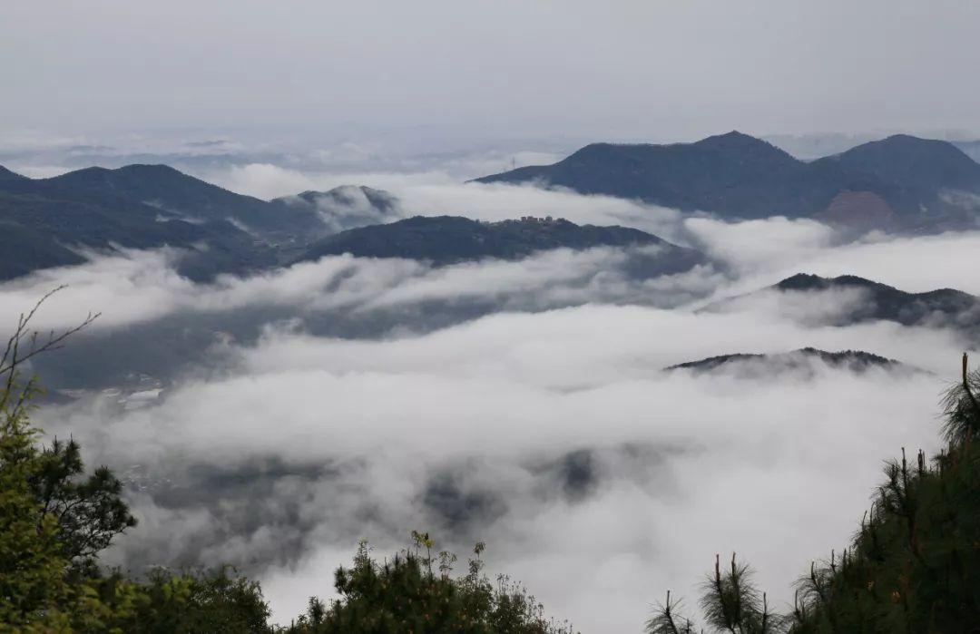 最美的遇見!洛江仙公山上又見雲海