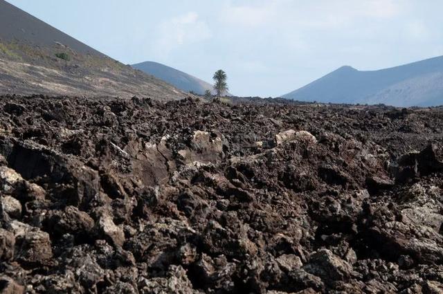 为什么火山土壤这么肥沃?喷发带来的矿物质很重要!