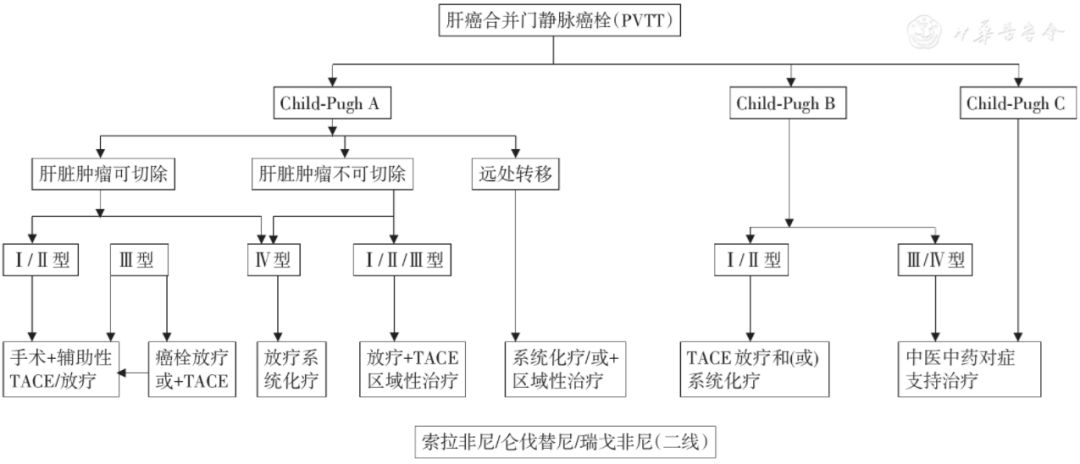 專家共識肝細胞癌合併門靜脈癌栓多學科診治2018