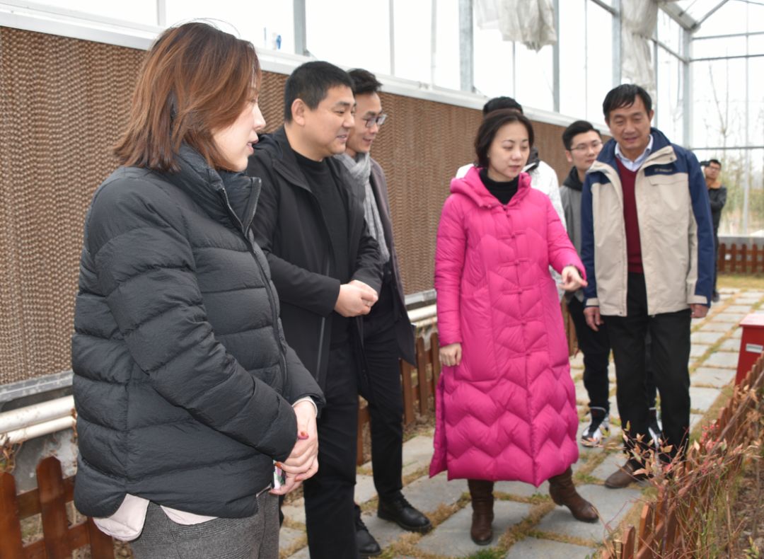 在省定經濟薄弱村侍莊街道侍圩村豆丹養殖基地,幫扶隊員在介紹灌雲