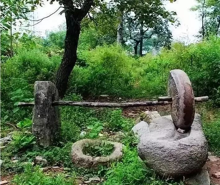 徐庄镇米山顶村位于山