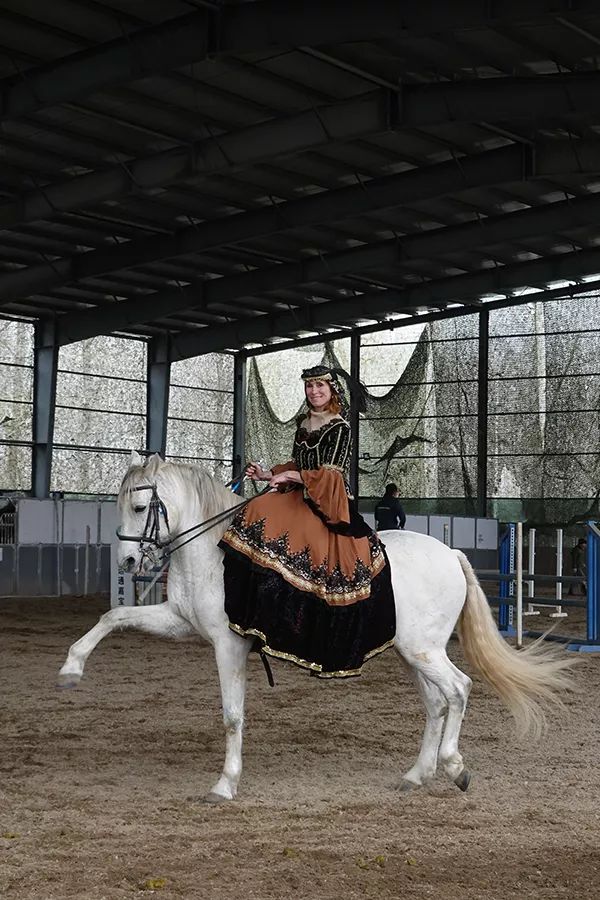 侧坐也能骑马从侧鞍到男女同场竞技看女骑士的进阶之路