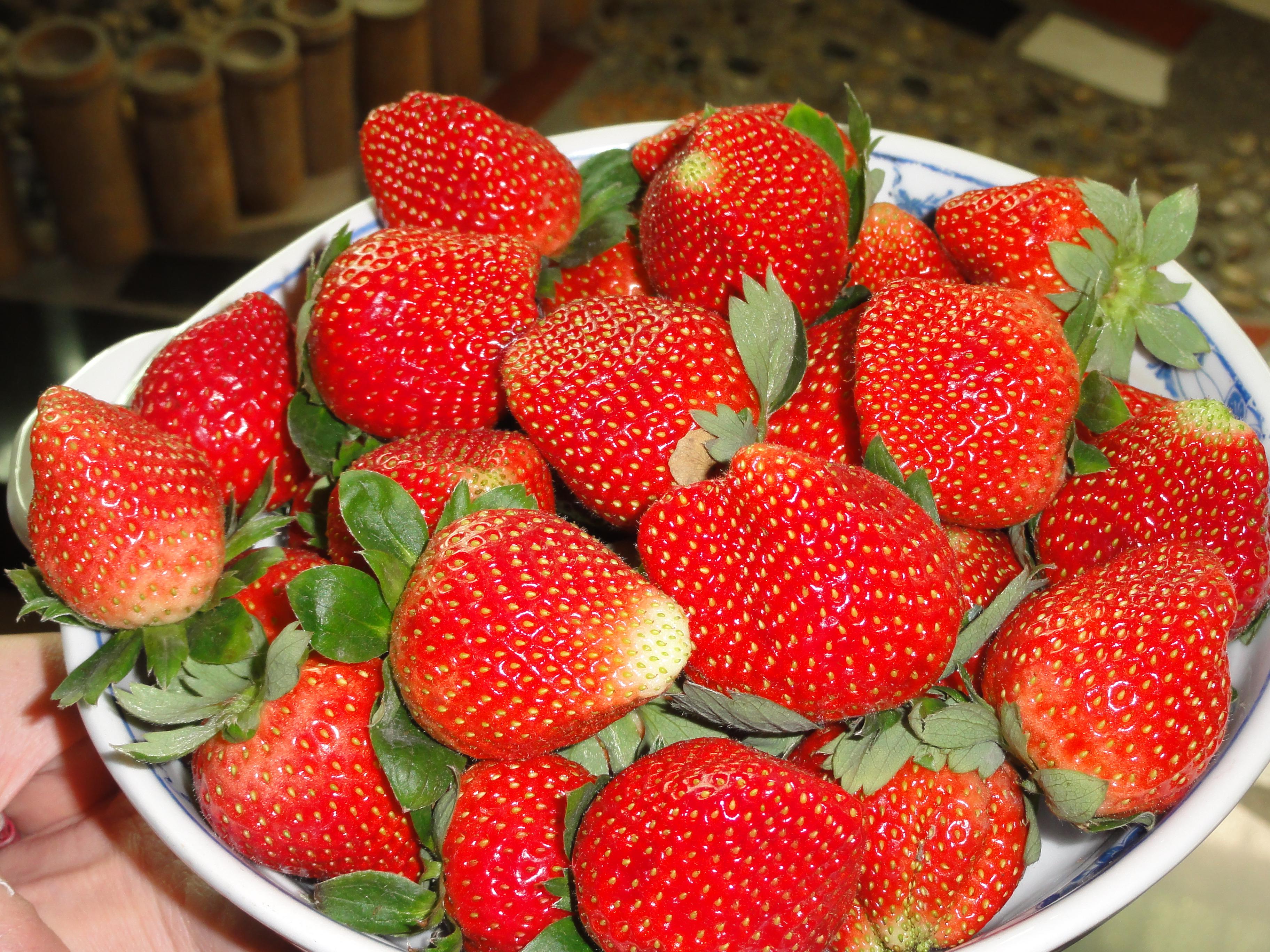 刘店子草莓图片