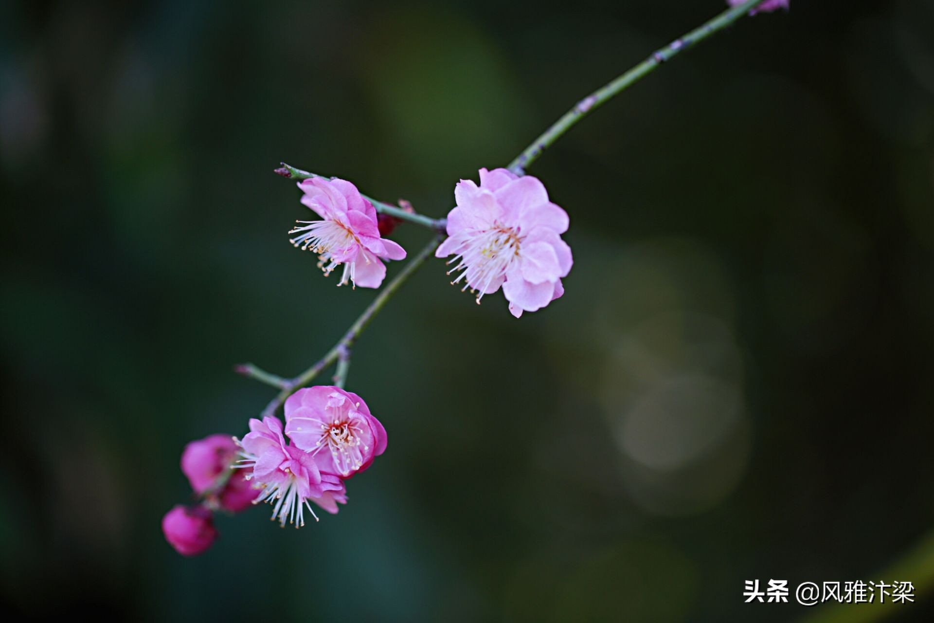 河南開封春光明媚春去春來又是一年附一組描寫春天的古詩