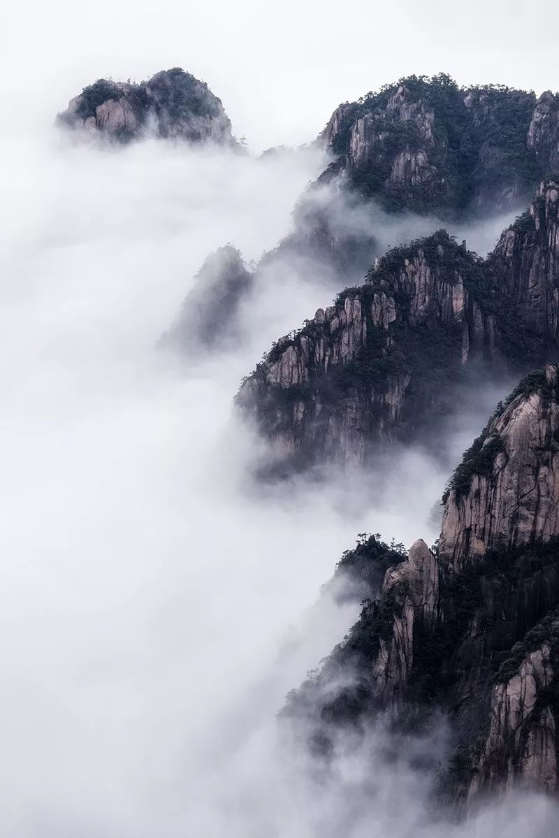 這些黃山攝影作品,宛若一幅幅的寫意水墨畫.