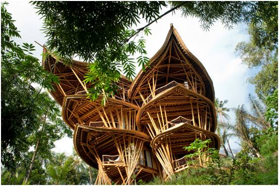  "竹"够创意：竹元素与景观建筑的完美