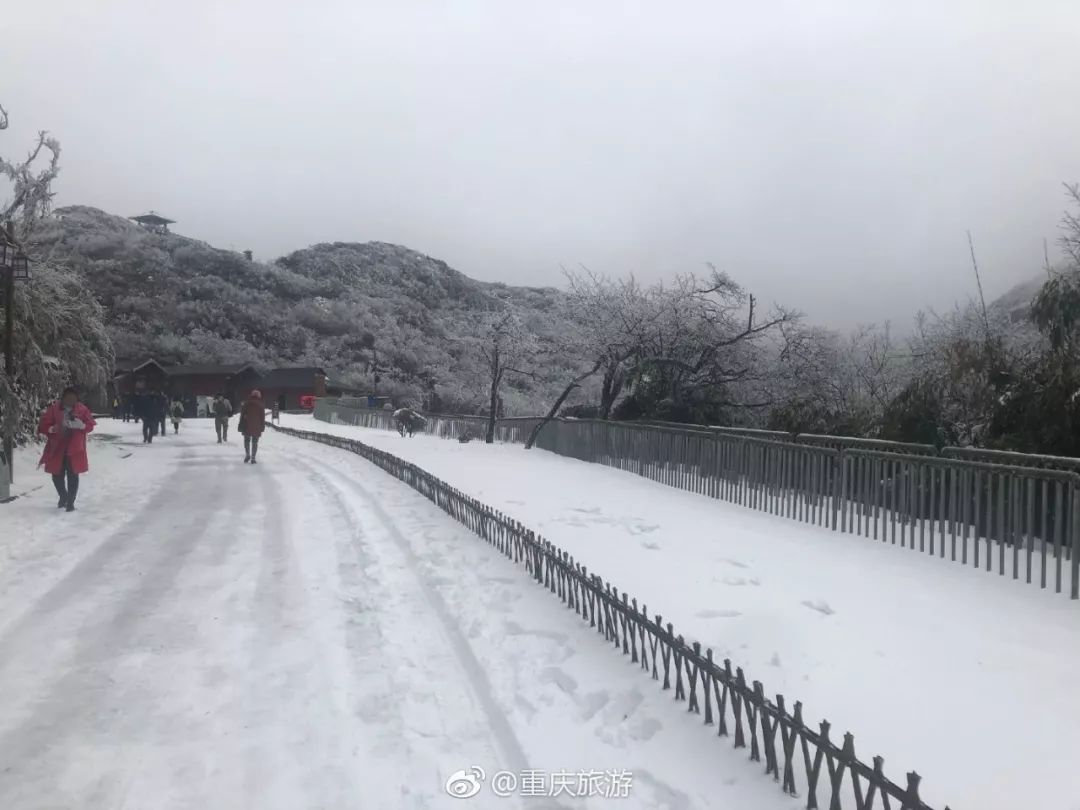 南川金佛山天氣預報(南川金佛山天氣預報15天氣)