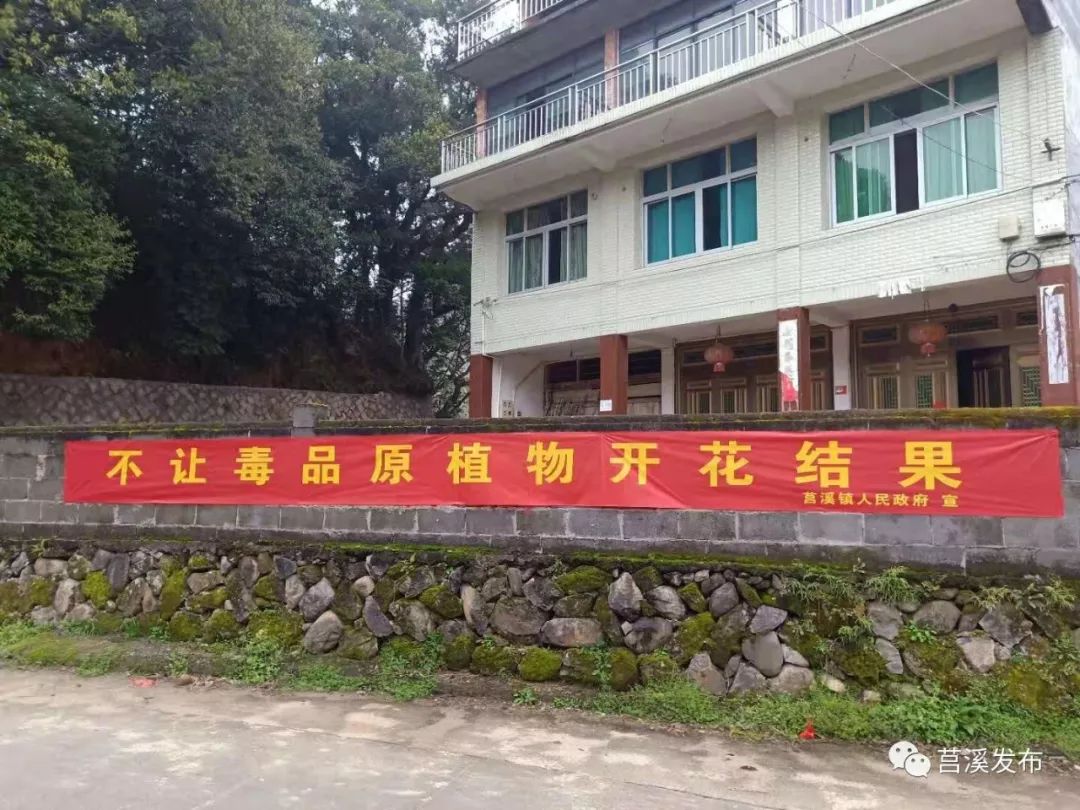 呼吁村民禁止种植毒品原植物,增强了村民们禁绝毒品的意识,参与合法