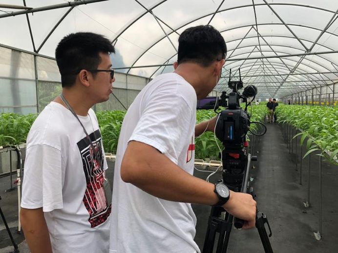 从纽约湾区到粤港澳大湾区,海归博士桑钧晟带着自己的团队和芯片技术