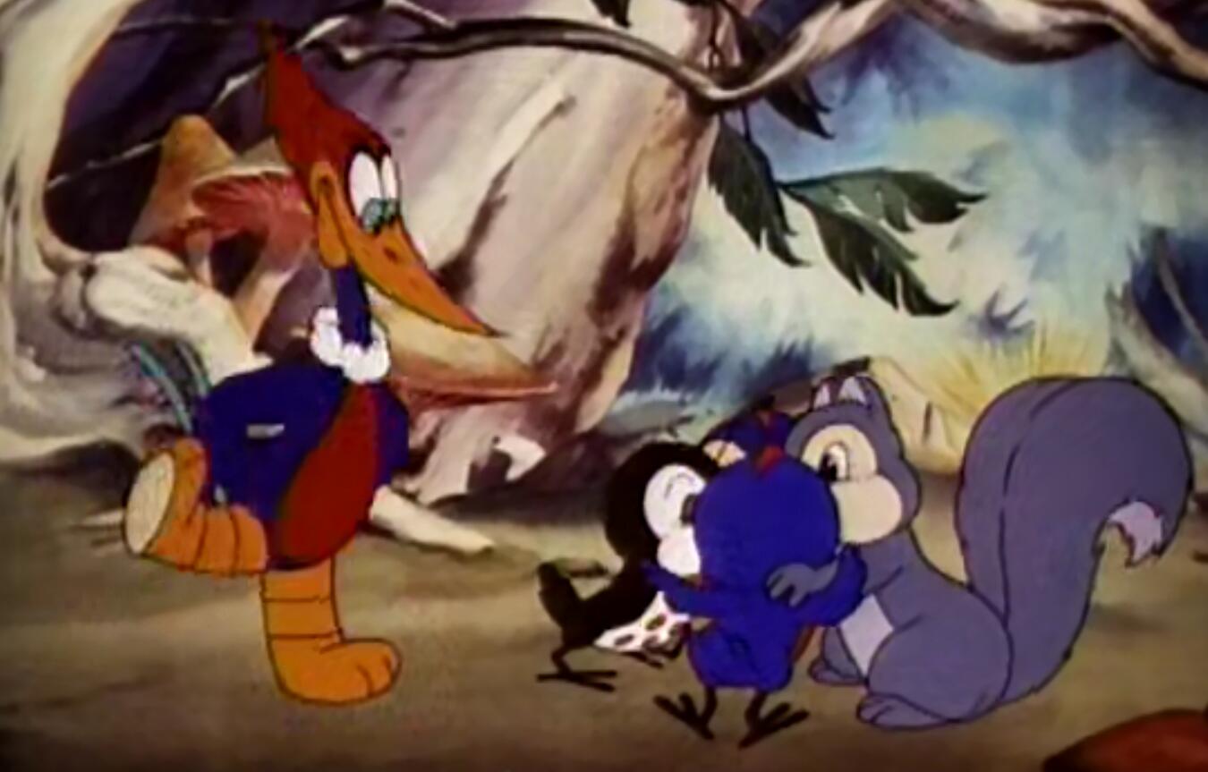 美国动画片，经典回忆，原来啄木鸟也很可爱-搜狐大视野-搜狐新闻