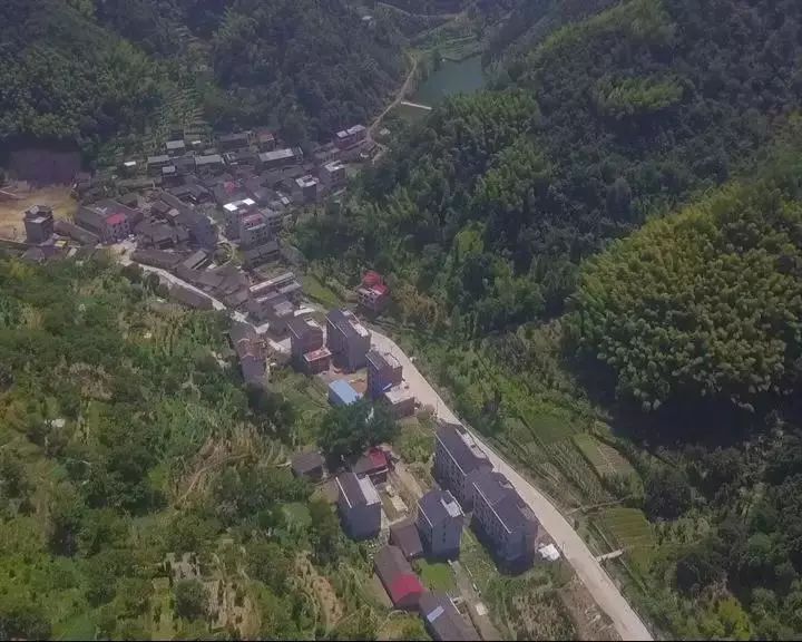 三八女神节安文街道东川村邀您来赏浪漫樱花