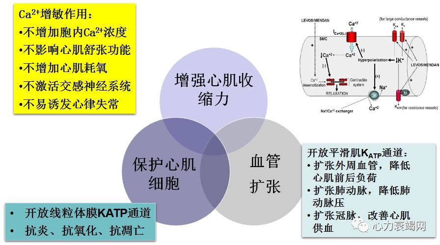 左西孟旦片剂图片