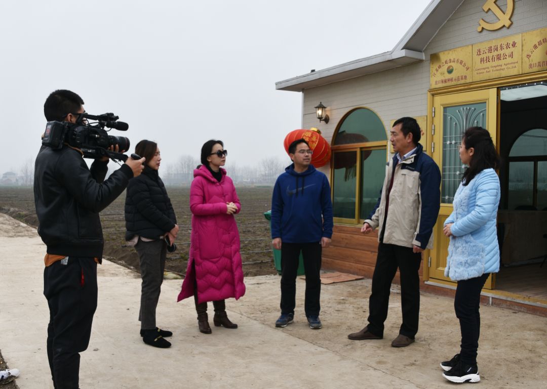 東王集鎮鹽河村火龍果採摘園在省定經濟薄弱村侍莊街道侍圩村豆丹養殖