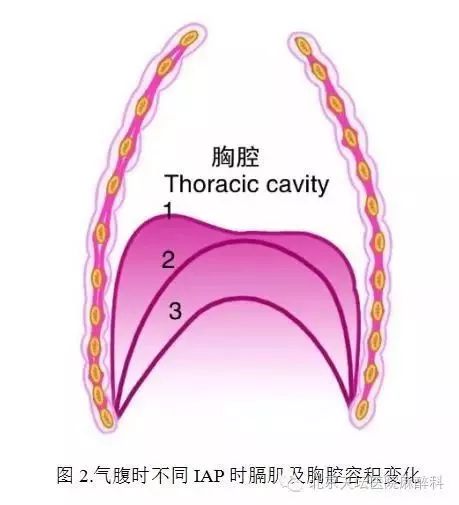 氣道壓力上升(通常>20mmhg),功能殘氣量下降,潮氣量及肺泡通氣量減少