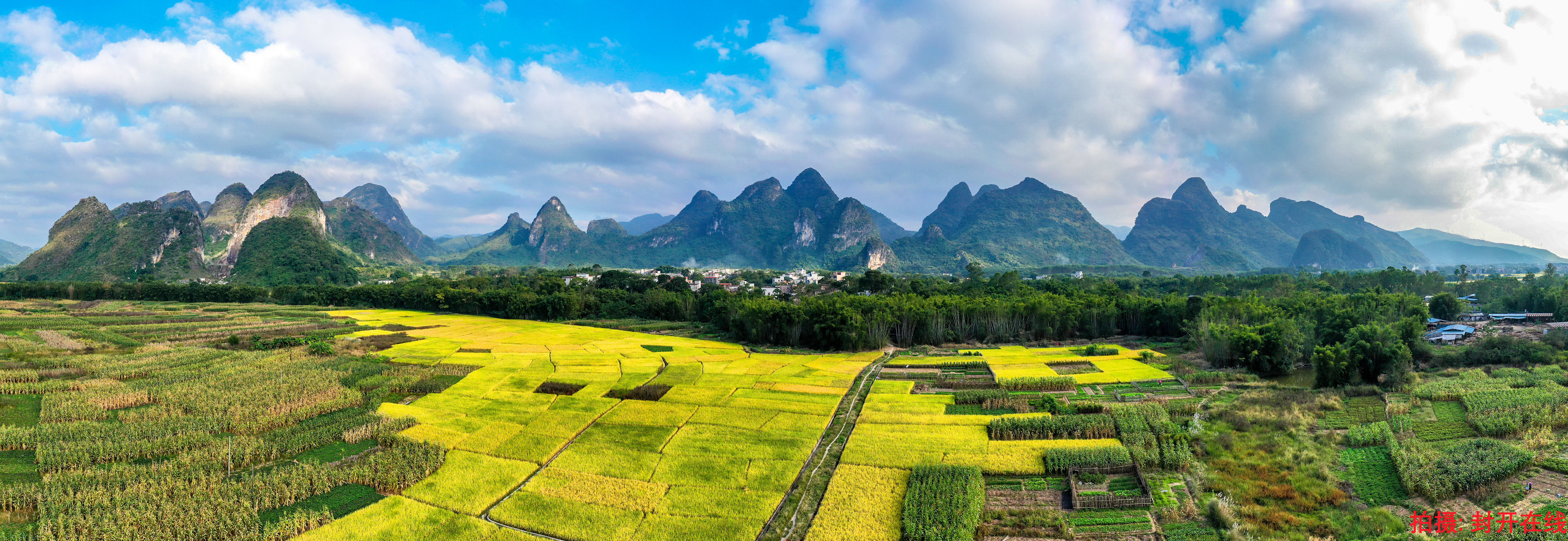 莲都十里画廊风景区图片