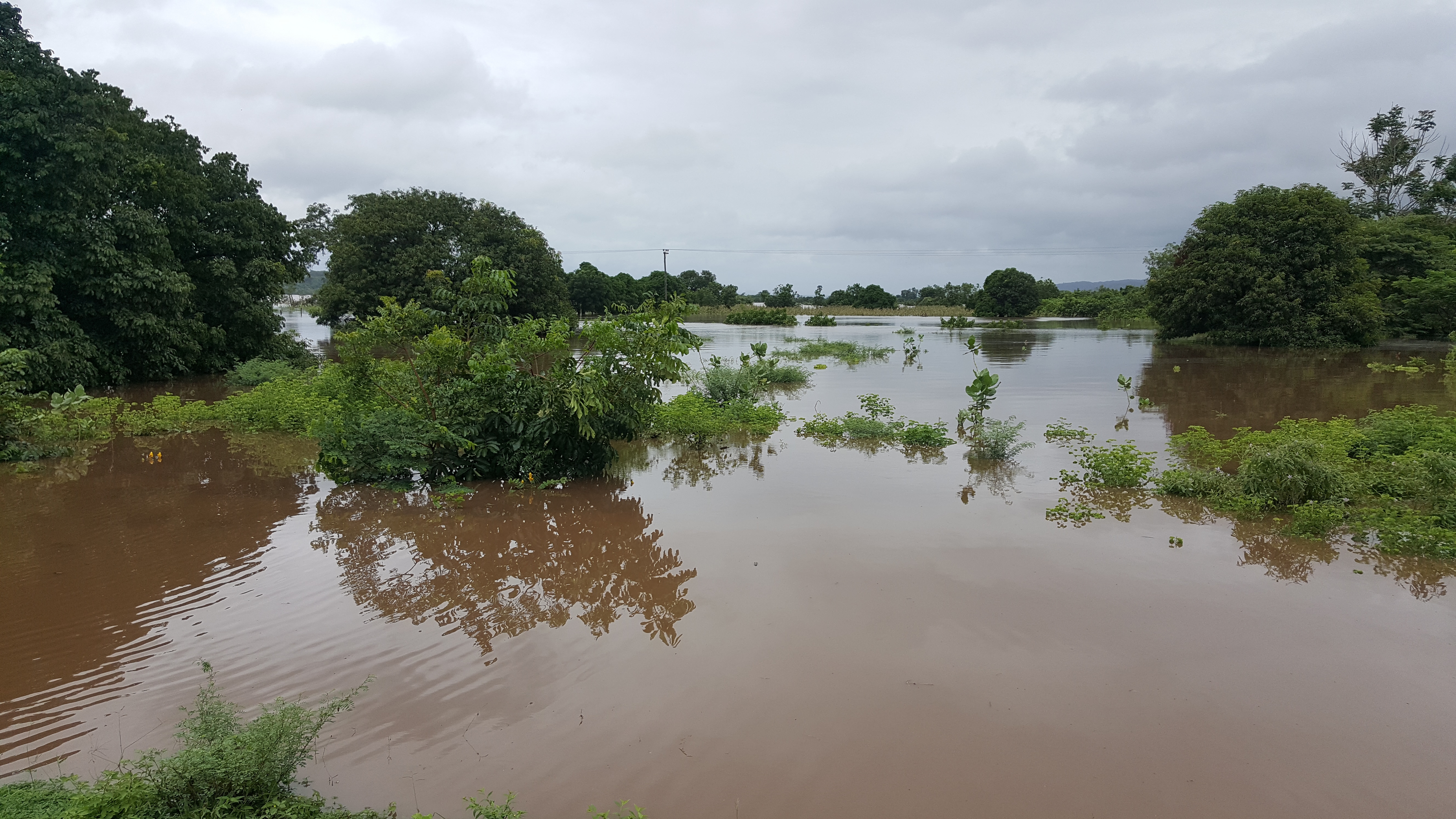 2019年3月9日这张3月8日拍摄的照片显示的是马拉维南部希雷河洪水泛滥