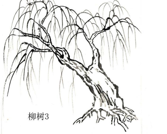 树枝的结构大致有三大类:一为向上生长的类型,传统的画论中称为鹿角枝