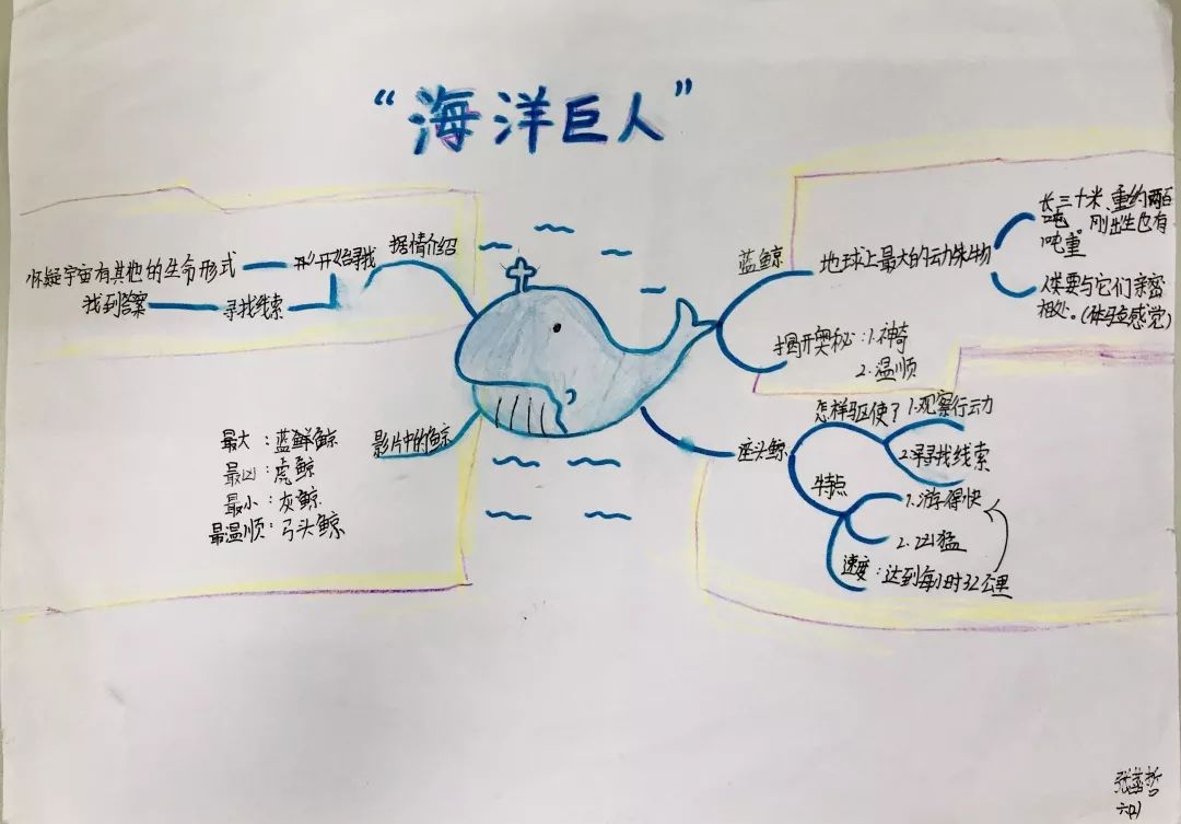 BBC地球脉动思维导图图片