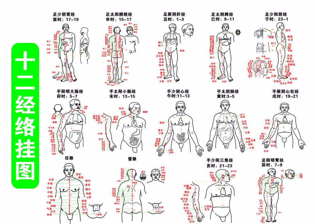 人体12条经络口诀图片