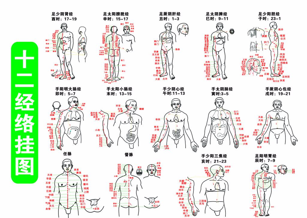 12时辰与12条经络便于记忆法!