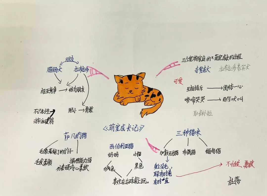 BBC纪录片思维导图图片