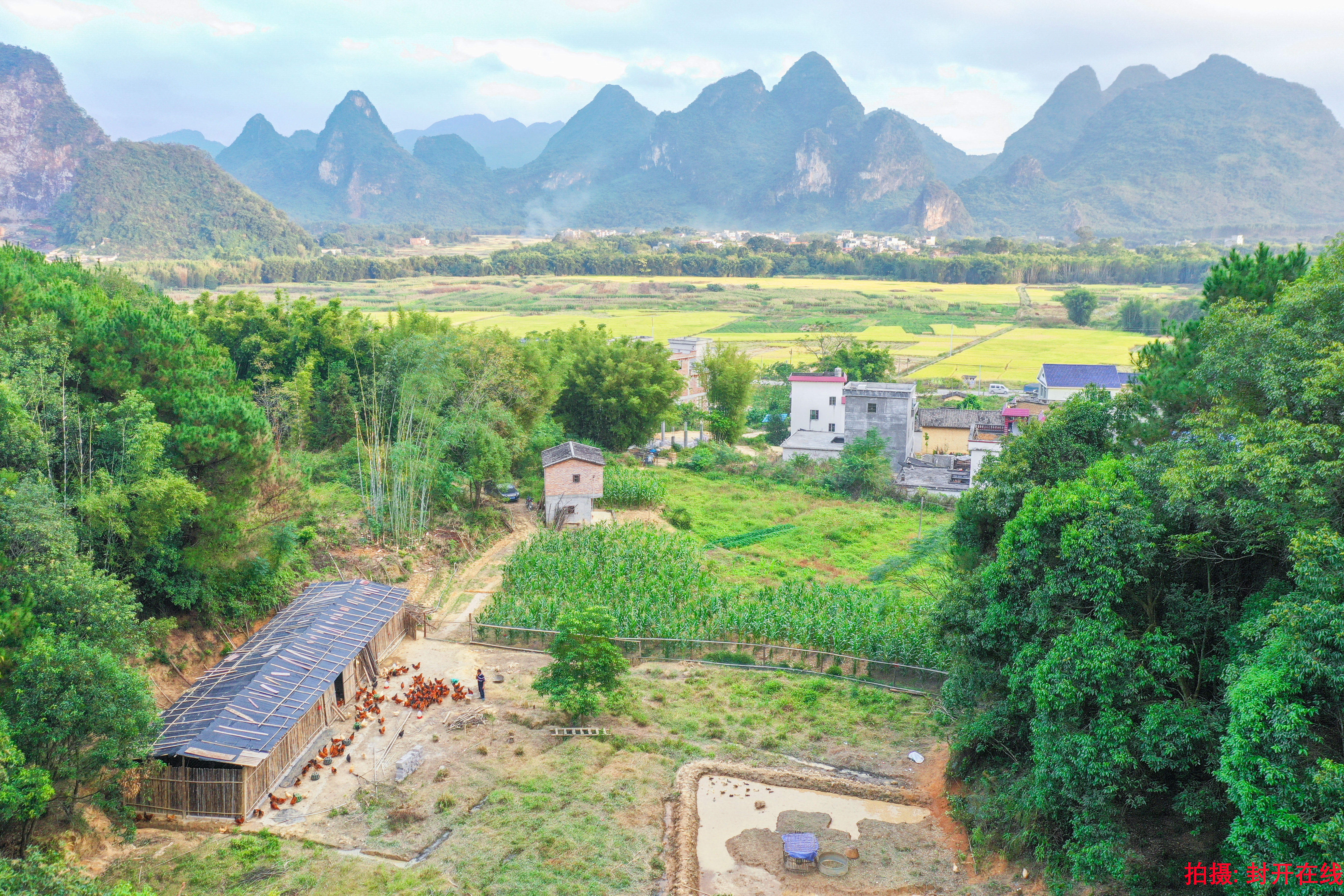 莲都十里画廊风景区图片