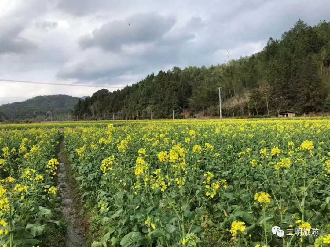 明溪县夏阳乡御帘村