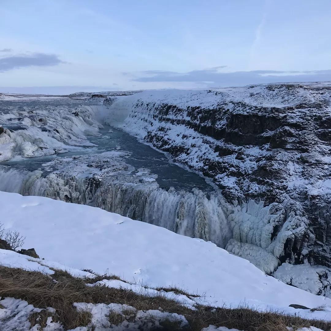 那就是the iceland phallological museum——陰莖博物館.