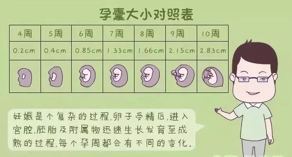 孕囊孕周对照表图片