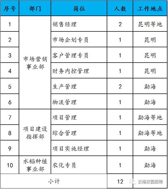 雲南雲天化集團投資有限公司2019年招聘公告