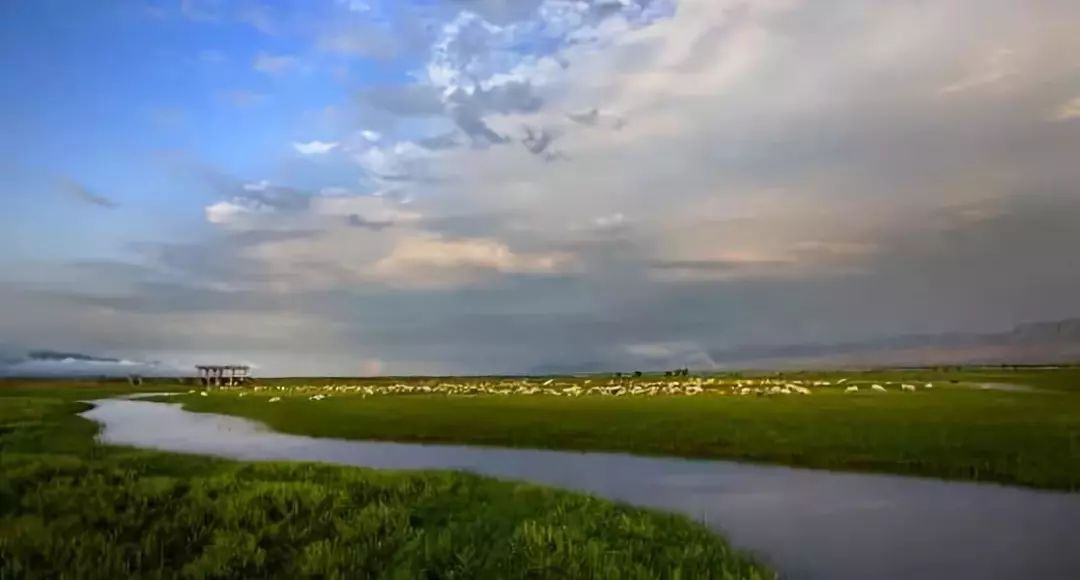 唐河,沙河是大清河的源頭,位於河北雄安新區和白洋淀上游,每年向雄安